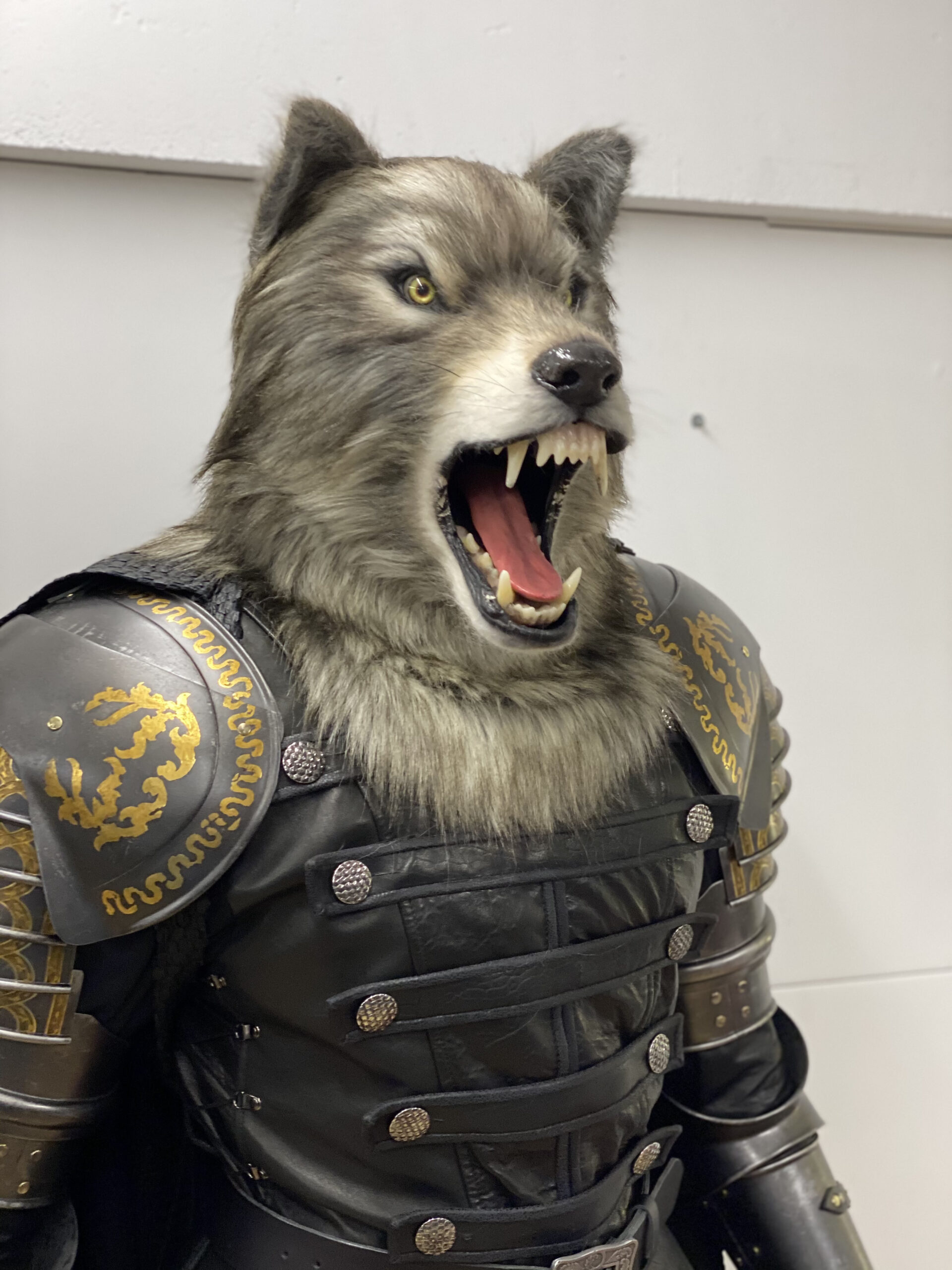 A person wearing a detailed Creature FX wolf head mask with bared teeth and a suit of black armor decorated with gold designs stands against a plain white background.