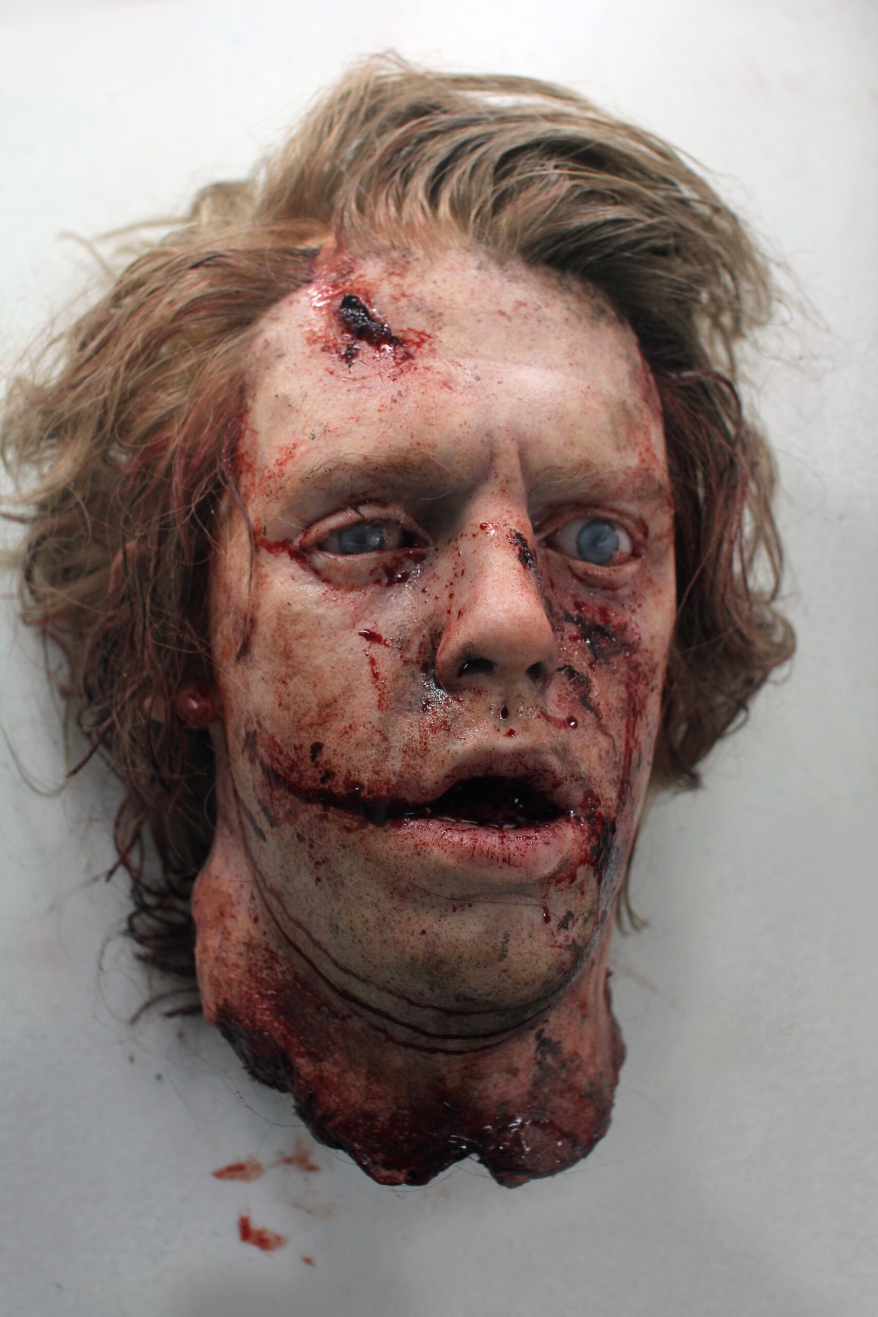 A realistic prop of a severed human head with messy blond hair, bloody wounds, a slack jaw, and blank eyes—perfect for horror scenes featuring bodies—delivers a gruesome appearance against a plain background.