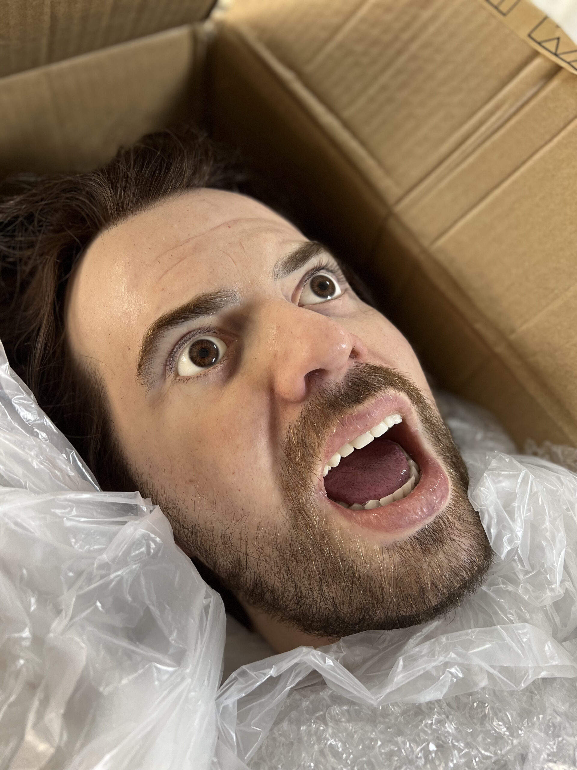 A realistic, open-mouthed mannequin head with wide eyes and brown hair lies surrounded by bubble wrap and plastic inside a cardboard box, evoking the uncanny stillness of lifelike bodies in storage.